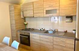 Apartament spatios cu 2 camere decomandate la casa, 80 mp, zona strazii Iasomiei, zona Auchan, Iris