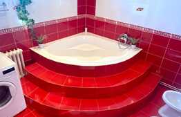 Apartament spatios cu 2 camere decomandate la casa, 80 mp, zona strazii Iasomiei, zona Auchan, Iris