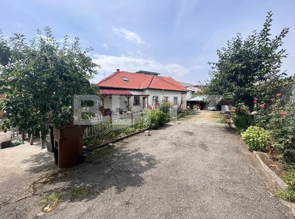 Casa de vânzare 3 camere Marasti - 121731CV | BLITZ Cluj-Napoca | Poza3