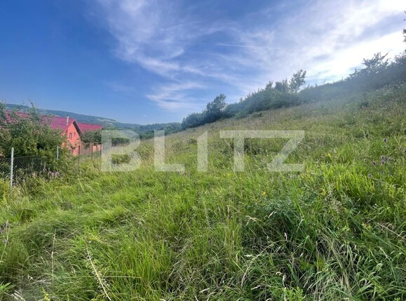 Teren de vânzare Tăuţi - 121769TV | BLITZ Cluj-Napoca | Poza1