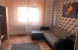 Garsoniera,24 mp, cartier Uzina 2