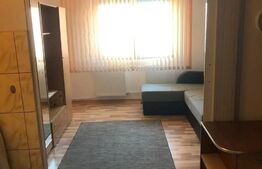 Garsoniera,24 mp, cartier Uzina 2