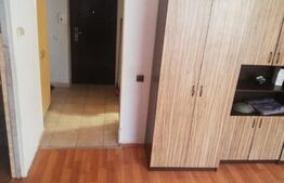 Apartament 1 camera, 32mp, etaj intermediar, zona Eroilor