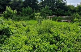  Teren, 924 mp, Juc-Herghelie