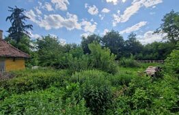  Teren, 924 mp, Juc-Herghelie