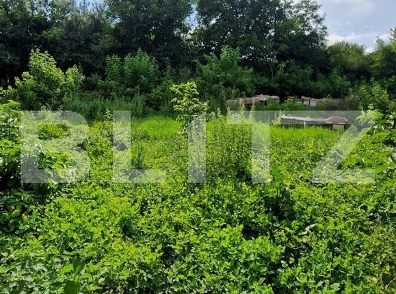 teren casa cluj jucu 1000 mp  | Poza4