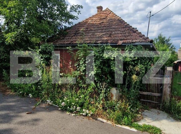 teren casa cluj jucu 1000 mp  | Poza2