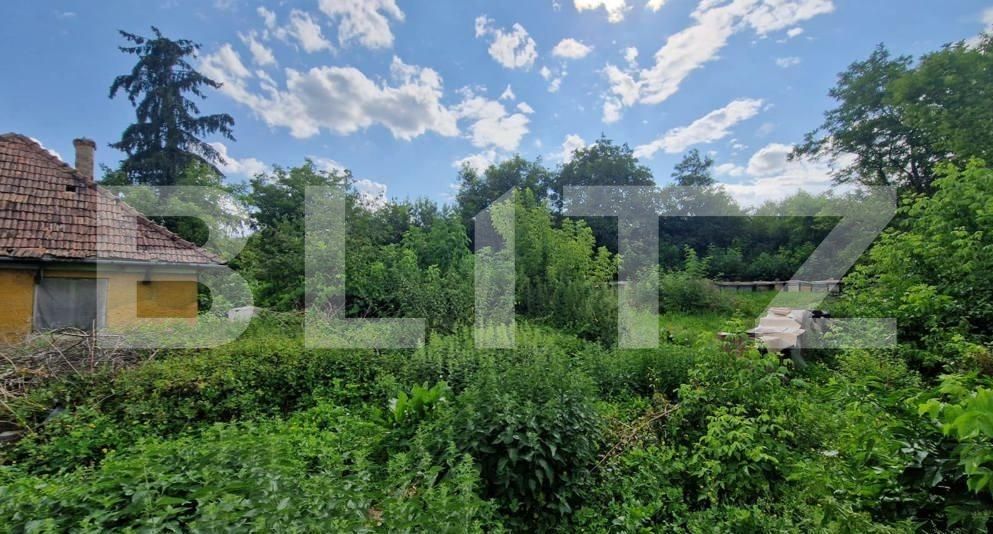 teren casa cluj jucu 1000 mp  | Poza3