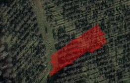 Teren intravilan, 2900 mp, Feleacu