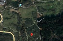 Teren intravilan, 2900 mp, Feleacu