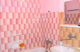 De vanzare 1 camera, 24.19 mp in zona supermarketului Kaufland