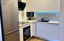 Apartament cu 2 camere, 45mp, terasa 25mp, parcare, zona Viva City  