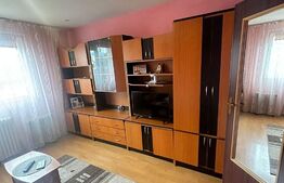 Garsoniera, 24 mp, zona Uzina 2