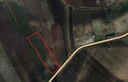 Teren, 4300 mp,  Apahida