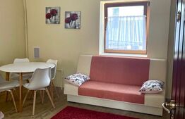 Apartament 2 camere, mobilat modern, 50mp, zona Central