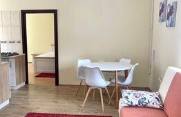 Apartament 2 camere, mobilat modern, 50mp, zona Central