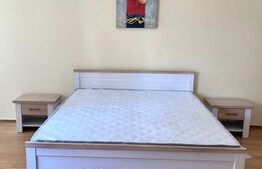 Apartament 2 camere, mobilat modern, 50mp, zona Central