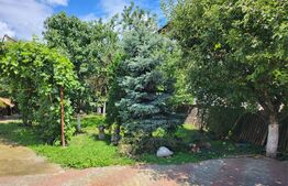 Casa individuala, 268 mp utili, 2145 teren, livada, Turda