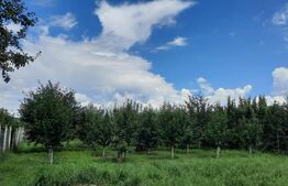 Casa individuala, 268 mp utili, 2145 teren, livada, Turda