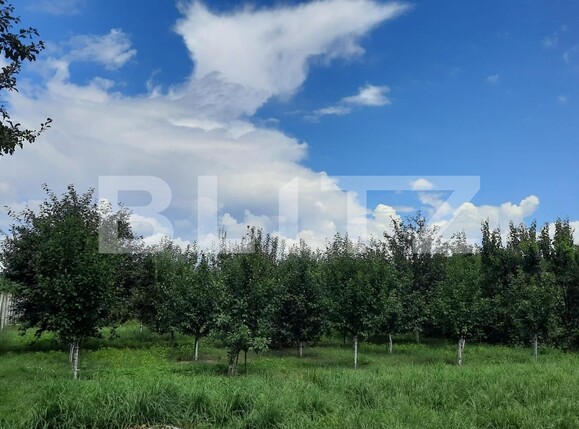 Casa de vânzare 6 camere  - 122208CV | BLITZ Cluj-Napoca | Poza17