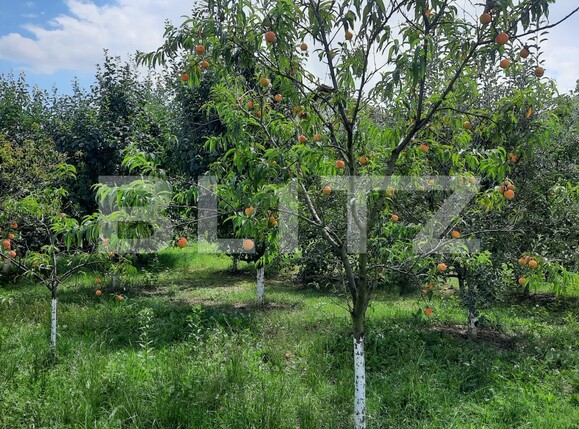 Casa de vânzare 6 camere  - 122208CV | BLITZ Cluj-Napoca | Poza16