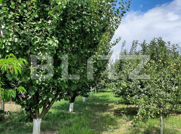 Casa de vânzare 6 camere  - 122208CV | BLITZ Cluj-Napoca | Poza15