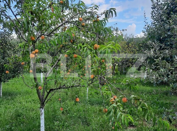 Casa de vânzare 6 camere  - 122208CV | BLITZ Cluj-Napoca | Poza14