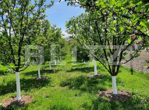 Casa de vânzare 6 camere  - 122208CV | BLITZ Cluj-Napoca | Poza13