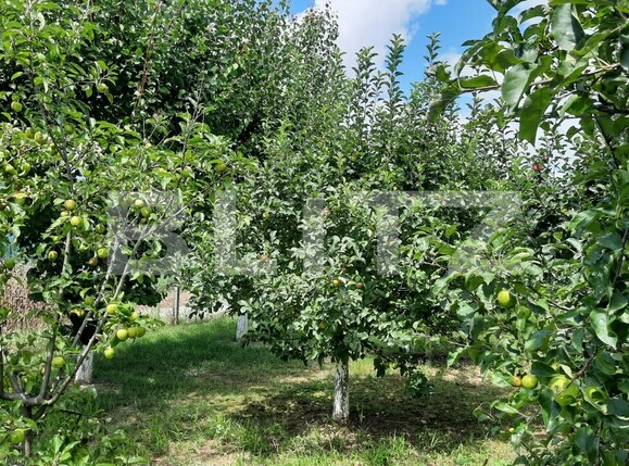 Casa de vânzare 6 camere  - 122208CV | BLITZ Cluj-Napoca | Poza18