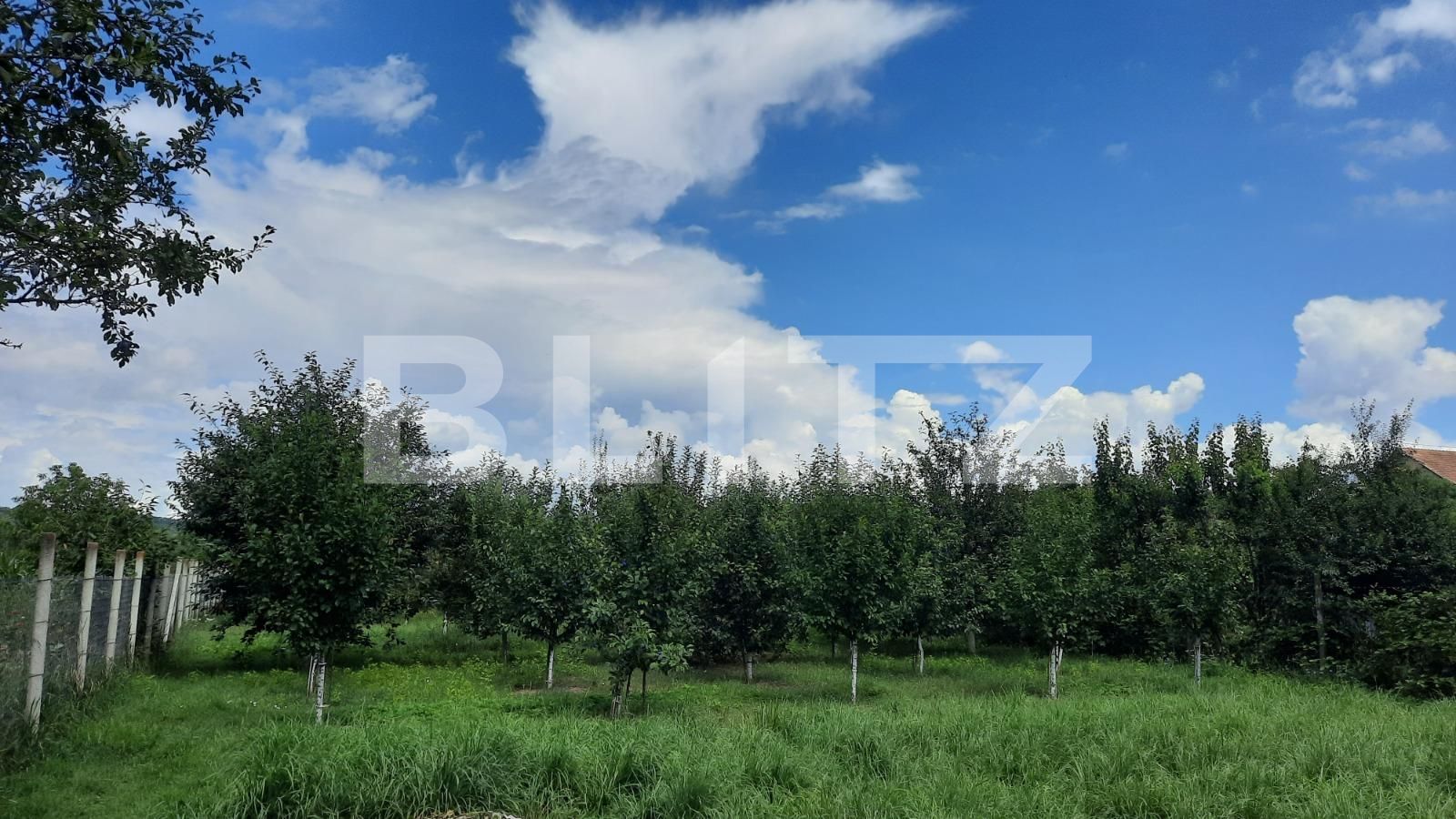 Casa de vânzare 6 camere  - 122208CV | BLITZ Cluj-Napoca | Poza17