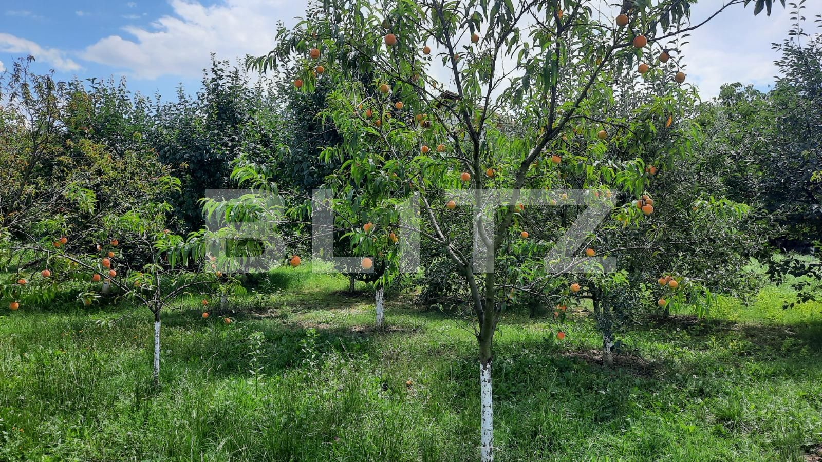 Casa de vânzare 6 camere  - 122208CV | BLITZ Cluj-Napoca | Poza16