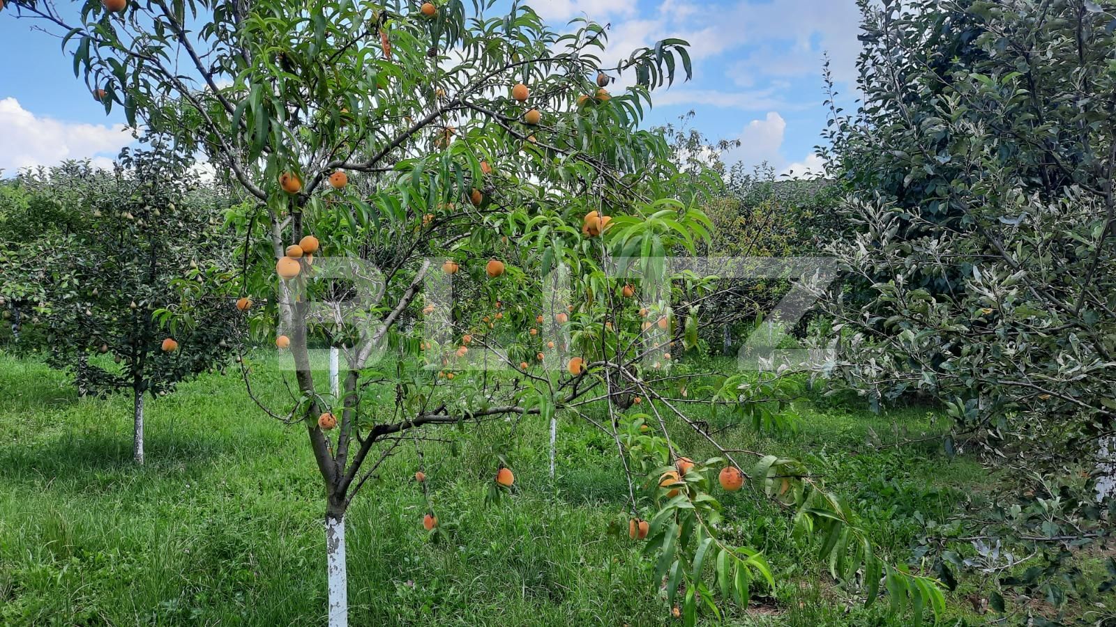 Casa de vânzare 6 camere  - 122208CV | BLITZ Cluj-Napoca | Poza14