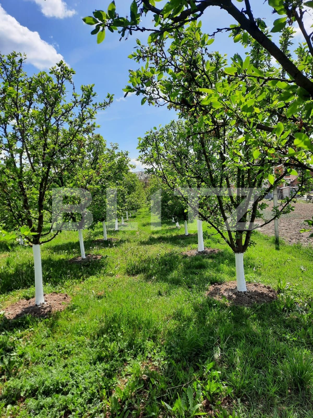 Casa de vânzare 6 camere  - 122208CV | BLITZ Cluj-Napoca | Poza13