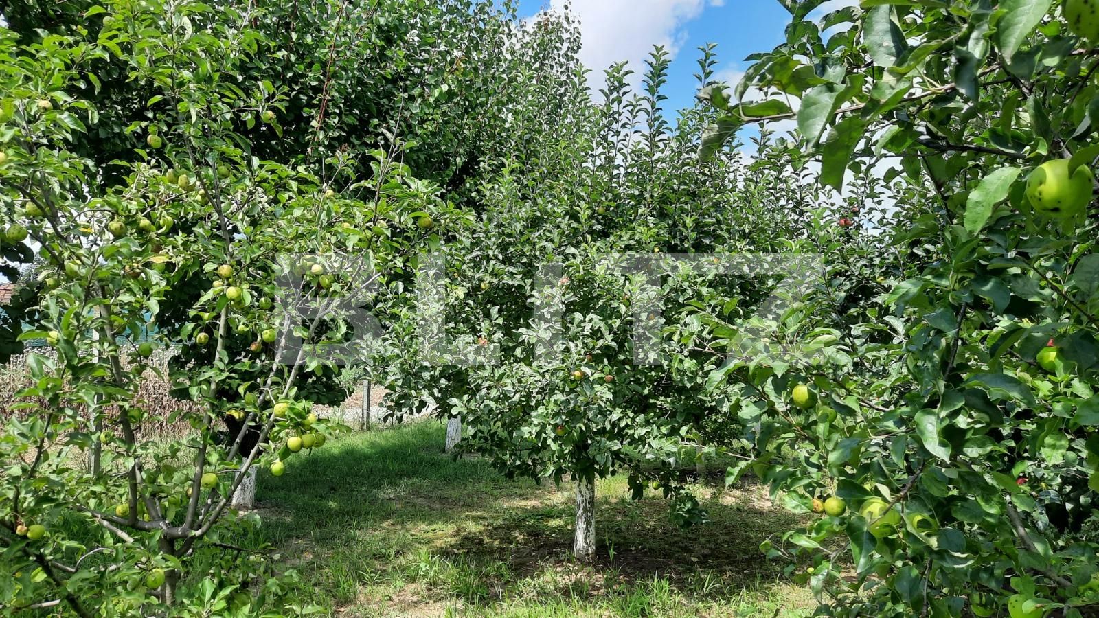 Casa de vânzare 6 camere  - 122208CV | BLITZ Cluj-Napoca | Poza18