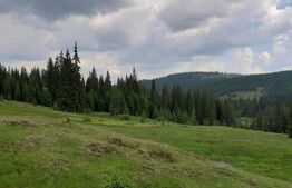 Maguri Racatau, langa cabana Blajoaia 