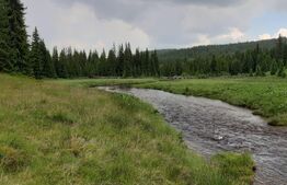 Maguri Racatau, langa cabana Blajoaia 