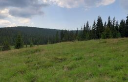 Maguri Racatau, langa cabana Blajoaia 