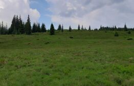 Maguri Racatau, langa cabana Blajoaia 