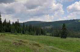 Maguri Racatau, langa cabana Blajoaia 