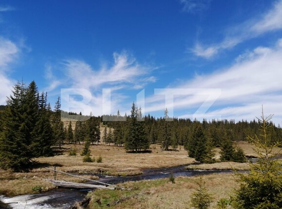 Teren de vânzare Exterior Vest - 122279TV | BLITZ Cluj-Napoca | Poza2