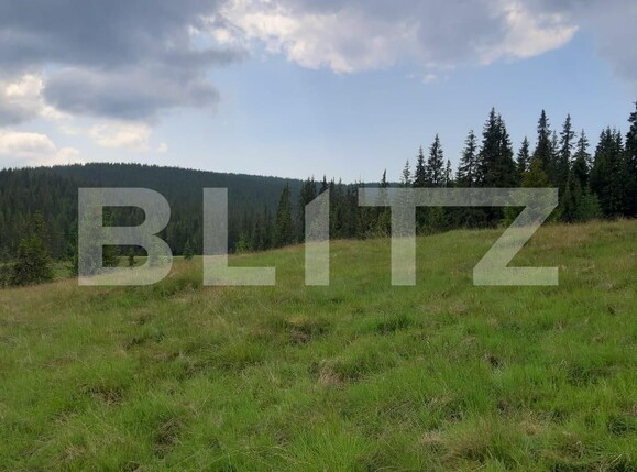 Teren de vânzare Exterior Vest - 122279TV | BLITZ Cluj-Napoca | Poza8