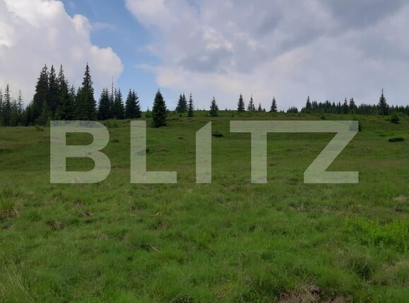 Teren de vânzare Exterior Vest - 122279TV | BLITZ Cluj-Napoca | Poza6