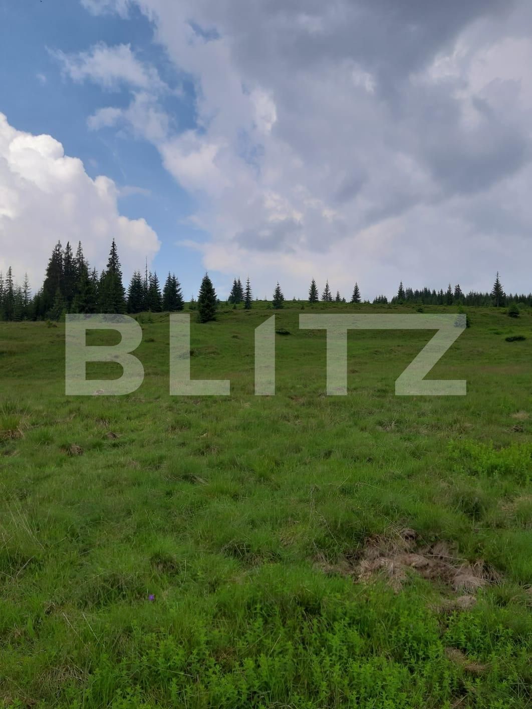 Teren de vânzare Exterior Vest - 122279TV | BLITZ Cluj-Napoca | Poza6