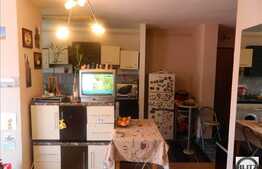 Apartament de vanzare, 2 camere, 40 mp utili, zona strazii Constantin Brancusi!