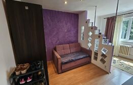 Garsonieră, 20 mp, etaj intermediar, Manastur 