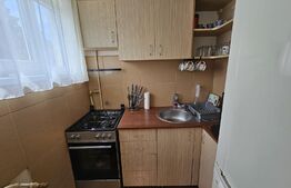 Garsonieră, 20 mp, etaj intermediar, Manastur 