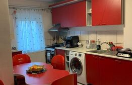 Apartament de 2 camere, 54m2 utili, la 5 minute de Iulius Mall