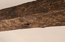 Casa, 5 camere, 235mp, zona centrala