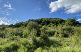 Teren intravilan, 1458 mp, front la 2 strazi, Valea Capriorii