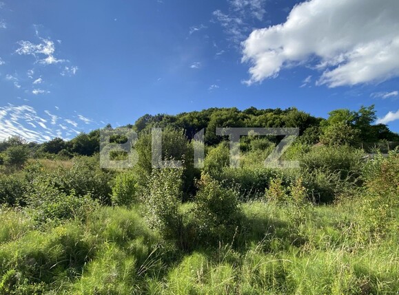 Teren de vânzare Feleacu - 122471TV | BLITZ Cluj-Napoca | Poza4